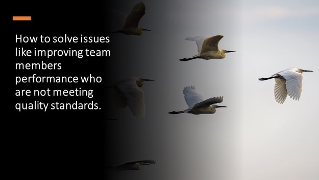   How to solve issues like improving team members performance who are not meeting quality standards