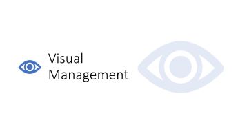 webinar on visual management by dr shruti bhat
